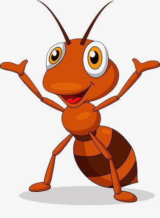 古人用蚂蚁缝合伤口轻轻一拉伤口瞬间闭合目前有些地方还在用