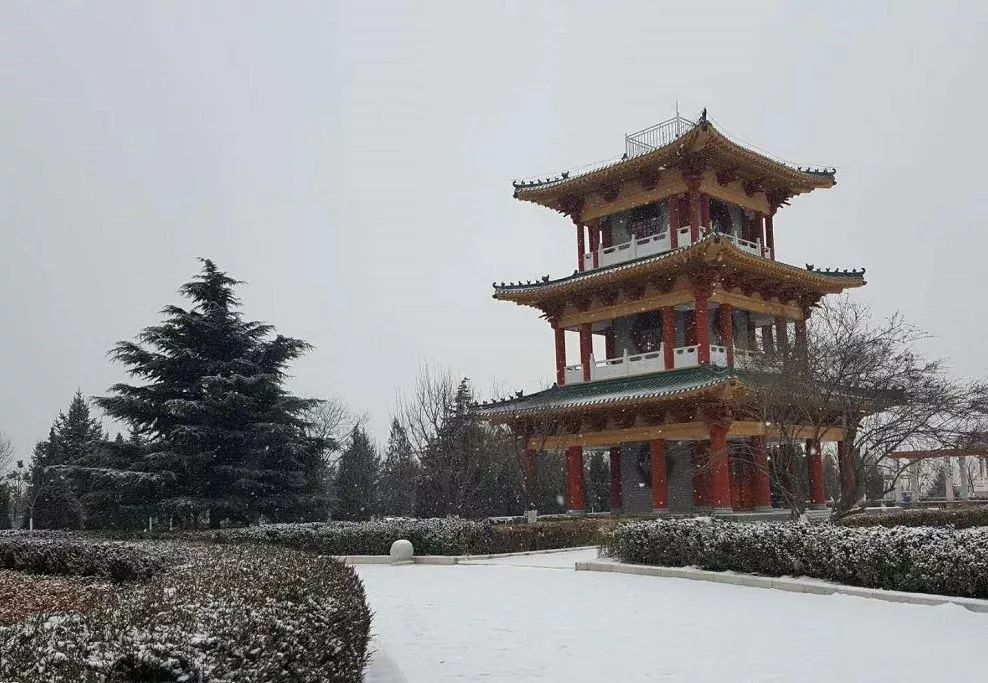 寶塔公園柳湖公園南山公園崆峒古鎮崆峒山中心城區鬆鬆軟軟的白雪世界