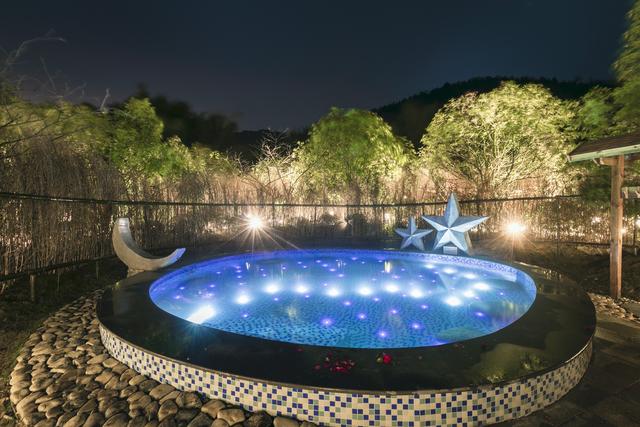 竹影婆娑起舞,绿植生机盎然,用竹子围合的网红鸟巢池