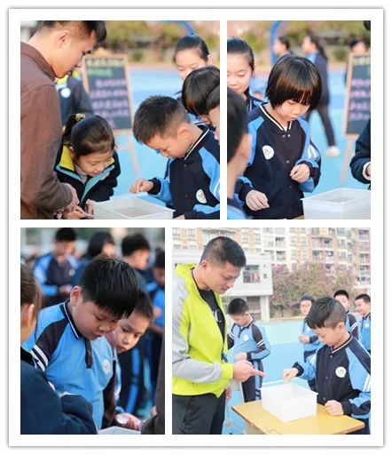 顺德龙江实验小学图片