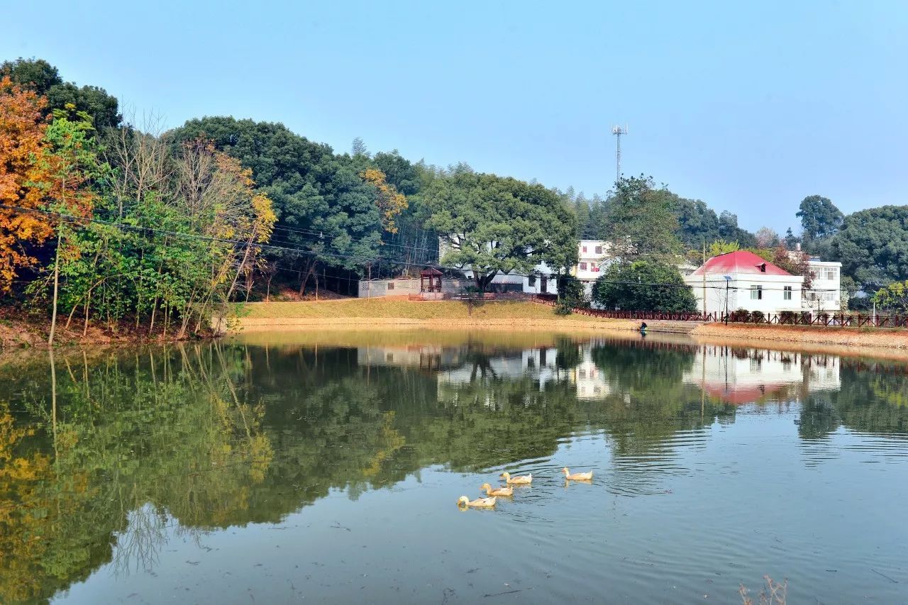 欢迎来柴桑区新塘乡看美丽的乡村