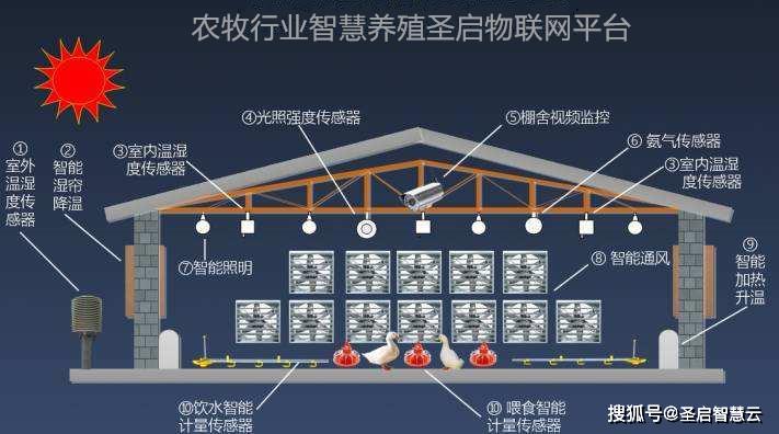 2020年春節將至肉價行情依然堅挺智能化畜禽養殖監控系統養殖解決方案