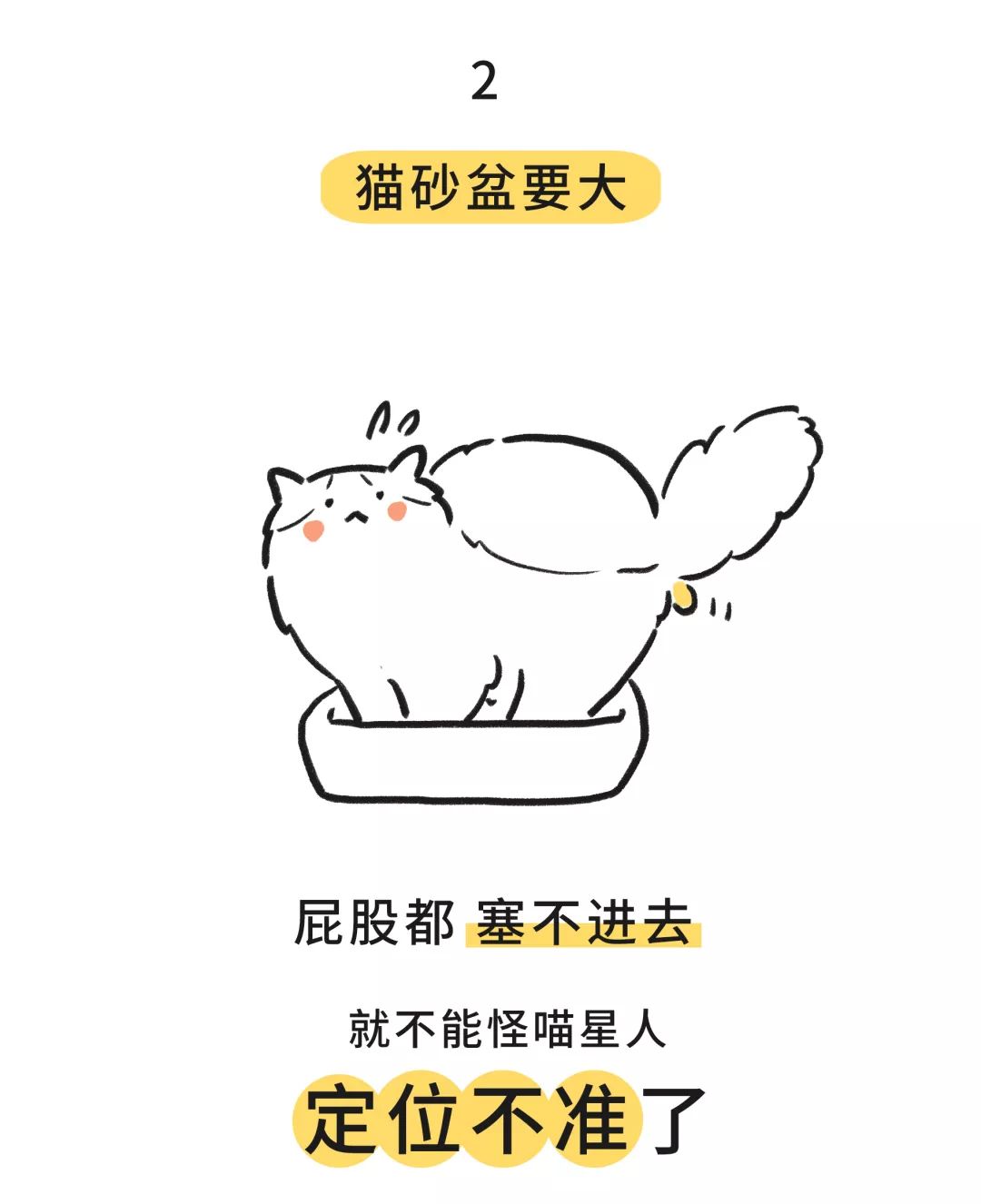 猫用这么奇葩的姿势拉屎…真的没问题吗?