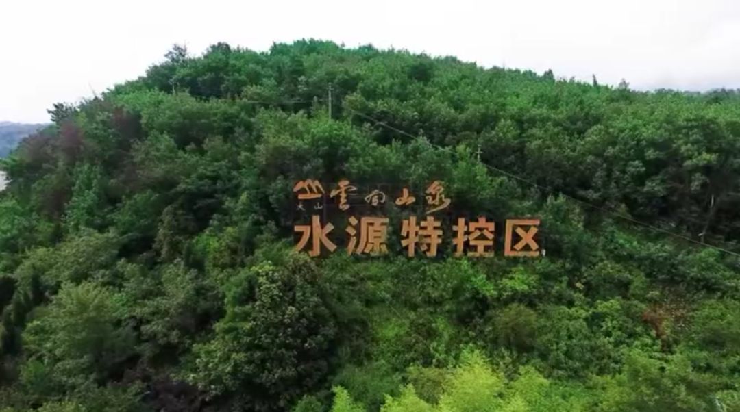 云南山泉,原生态好水!