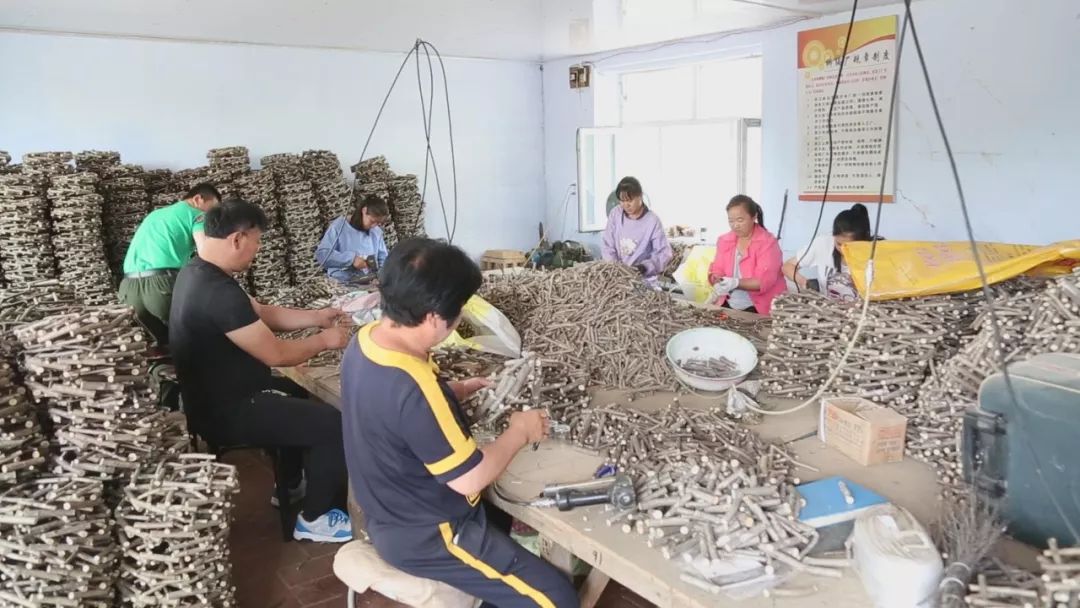 义气松实验林场场长 高 伟今年我们还将为柳编厂建设存储原料三十吨的