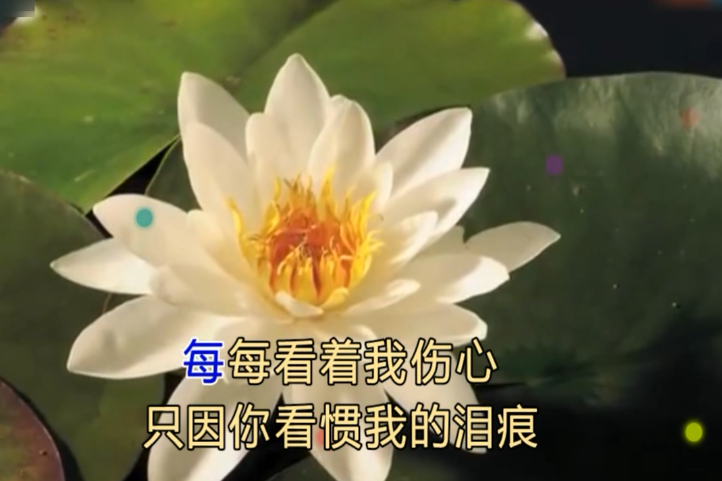 經典粵語歌痴心換情深翻唱詩韻輕歌