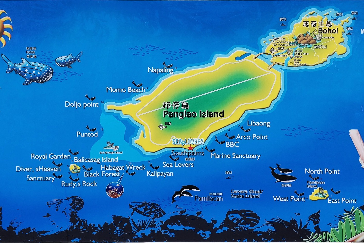 维奥商务的个人展示页