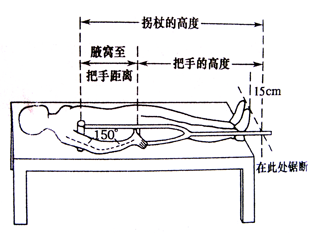 家宝小课堂手杖使用小知识