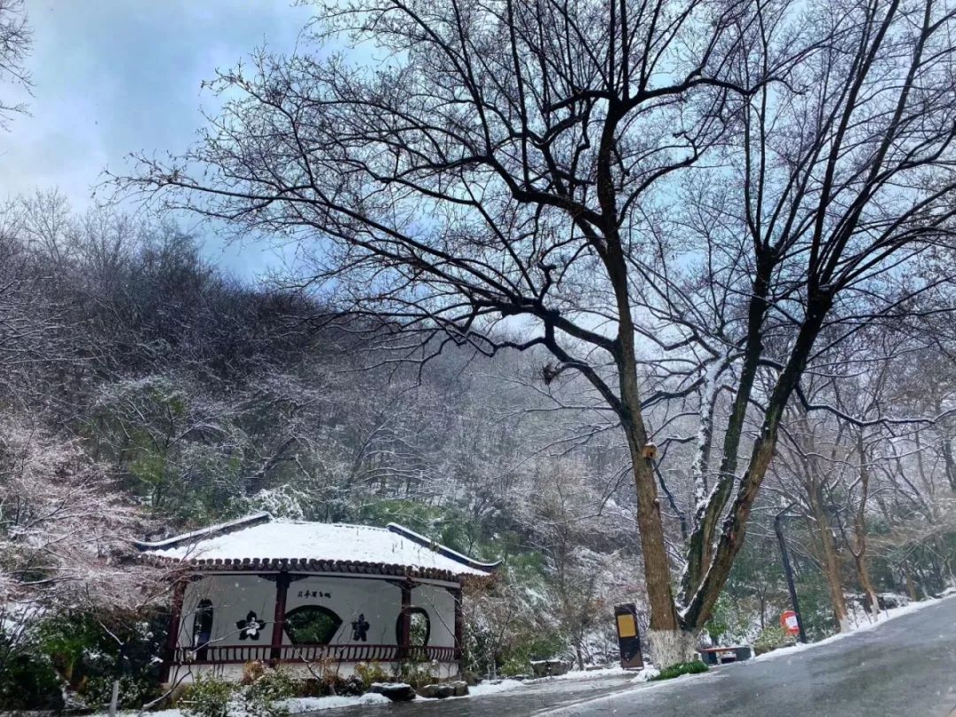 山的视频感受下吧▼雪中的栖霞也是极美的你是不是也被雪景刷屏了今天