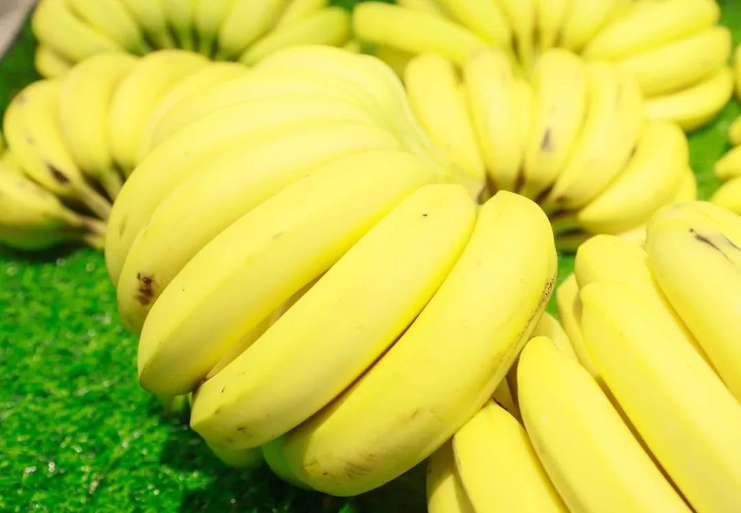 即将被挤爆!榴莲9.9元1斤,香蕉0.99元1斤