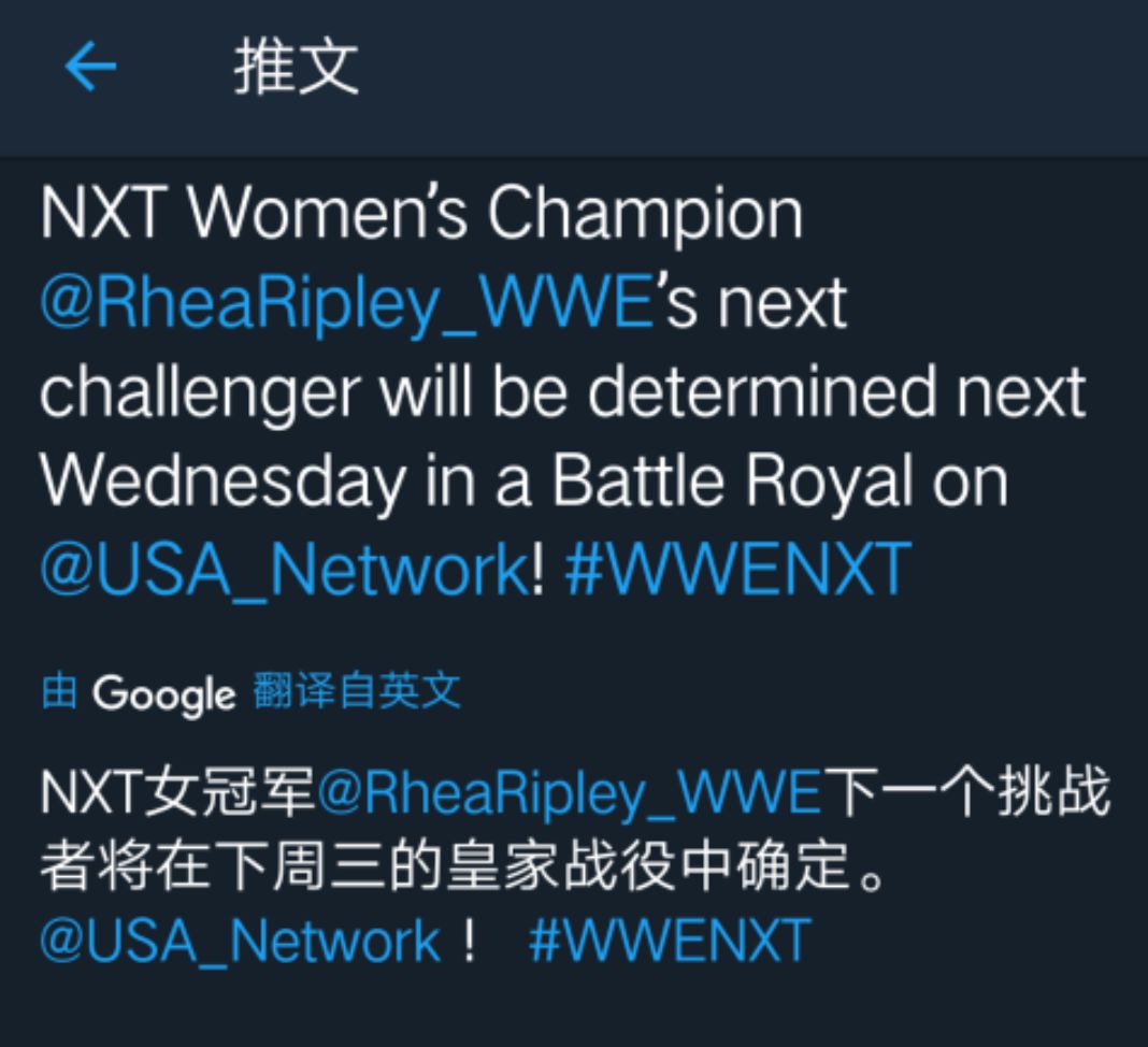 NXT：北美冠軍第一挑戰者產生！強尼正式約戰芬，多位NXT英國選手參賽...... 遊戲 第32張