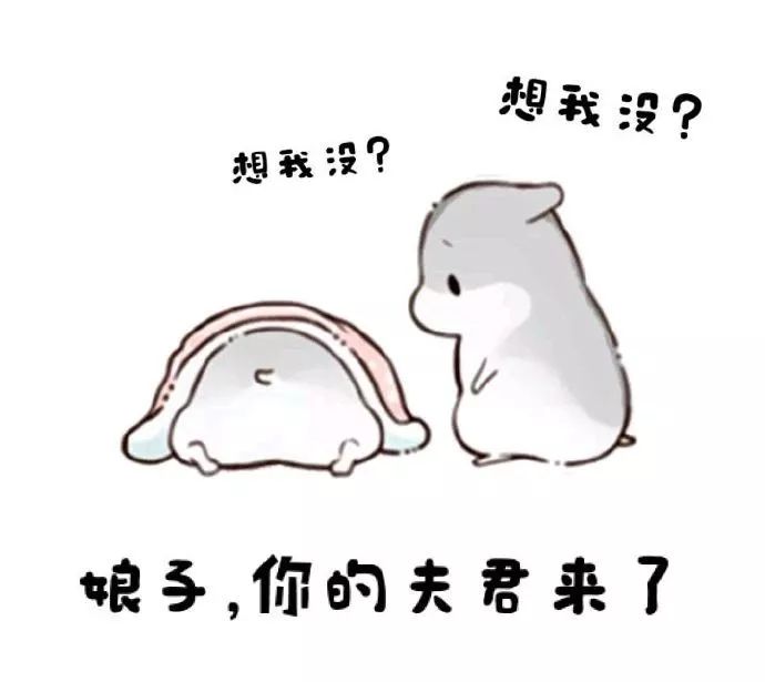 仓鼠表情包 | 娘子怎么还在睡?
