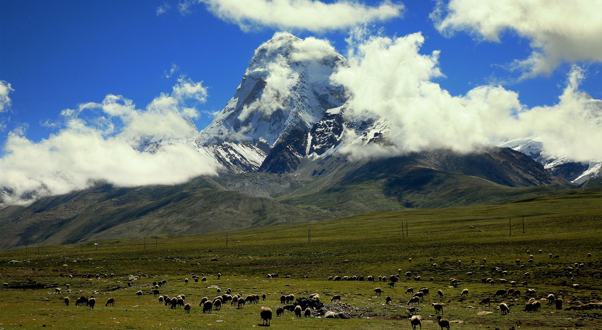 青藏高原 约250万平方千米蒙古高原位于亚洲东北部地区,包含了外蒙古