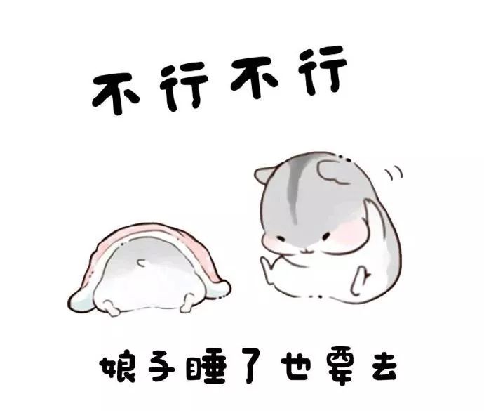 仓鼠表情包娘子怎么还在睡