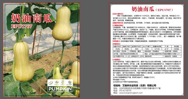 奶油南瓜品种 奶油南瓜epu1707南瓜种子