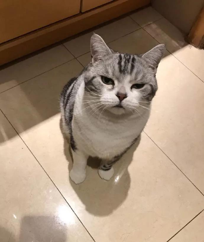 图片[20] - 【xizi被窝段子20200111】生活就是要你用拥有的那一二分的甜 去冲淡八九分的苦啊 - xizi