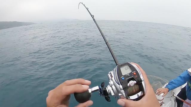 近海船钓木虾路亚墨鱼章鱼没想到狮子鱼也来咬