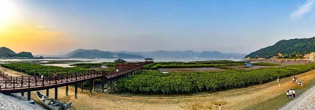 点进来罗源县红树林旅游节即将开幕