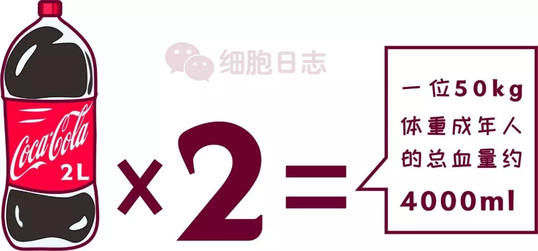 人體內血液的總量稱為血量,是血漿量和血細胞的總和,但除紅細胞外