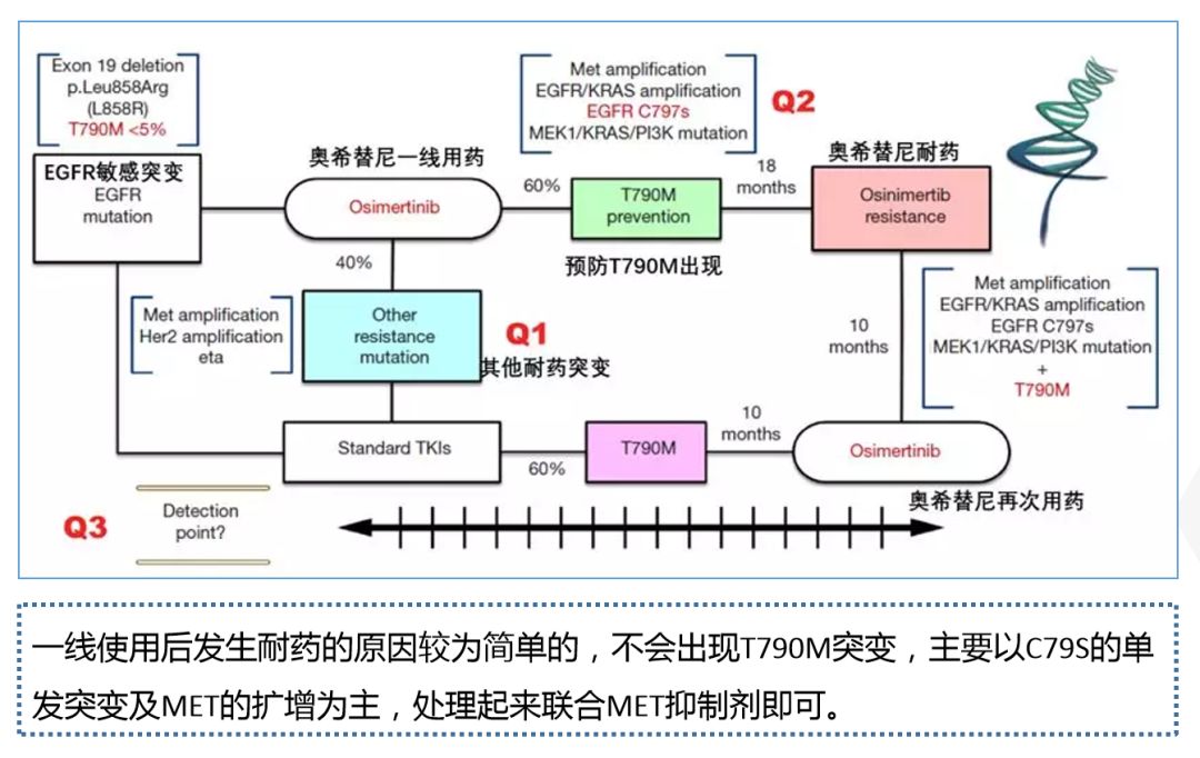 三代靶向药奥希替尼可以一线用药了,耐药后该怎么办?