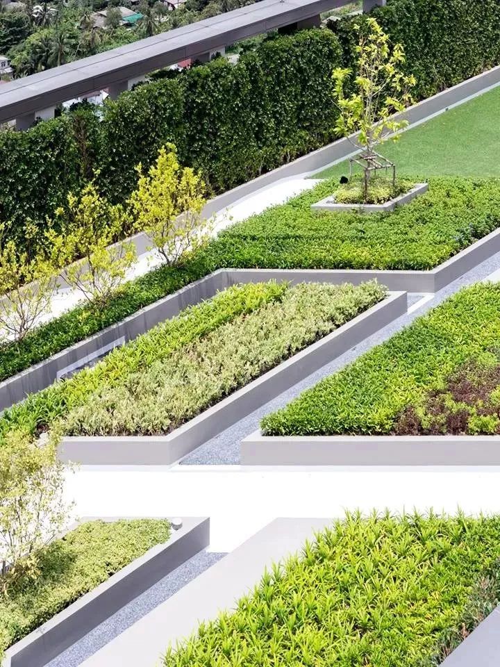 来看看就知道!_种植