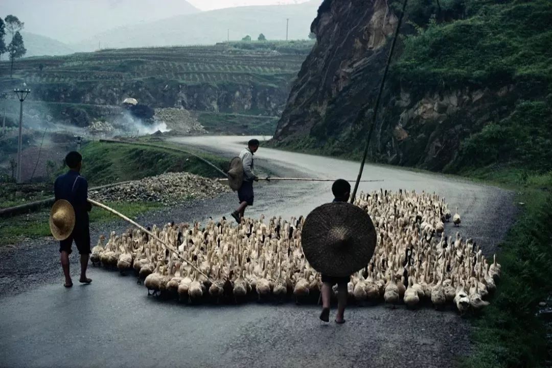 一组7080年代中国彩色老照片看完让人热泪盈眶