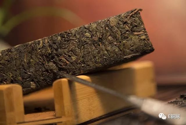 视频东山有嘉木名曰龙柏芽