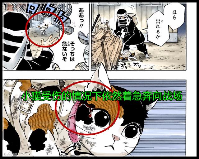 鬼灭之刃 情报 作者公布隐藏设定 牺牲的小猫平时认为愈史郎很烦 漫画 鬼灭之刃 情报 作者公布隐藏设定 牺牲的小猫平时认为愈史郎很烦 漫画