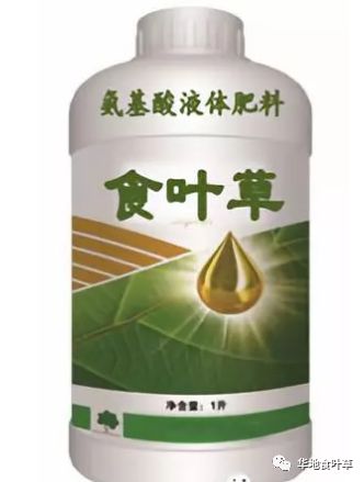 食叶草蛋白草环保型无公害多元素氨基酸肥料