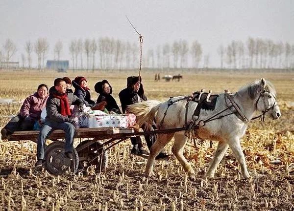 屋梁上 挂着的那个篮子 往往装着我们够不着的好吃的 赶着马车走亲戚