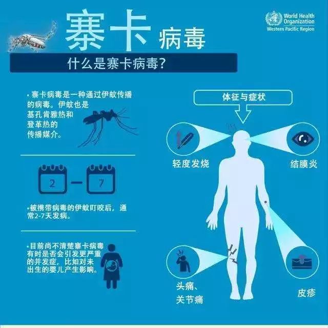 春节出游最好别去这个地方东莞有人出游回来感染了寨卡病毒