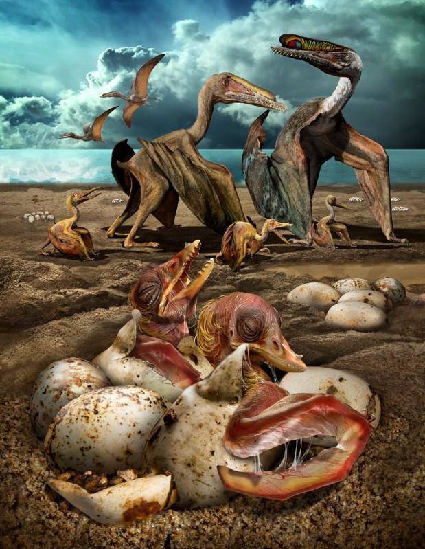 原创翼龙可以飞为什么还是没逃过恐龙大灭绝呢