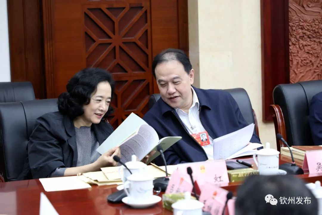 出席自治区十三届人大三次会议钦州市代表团开展活动