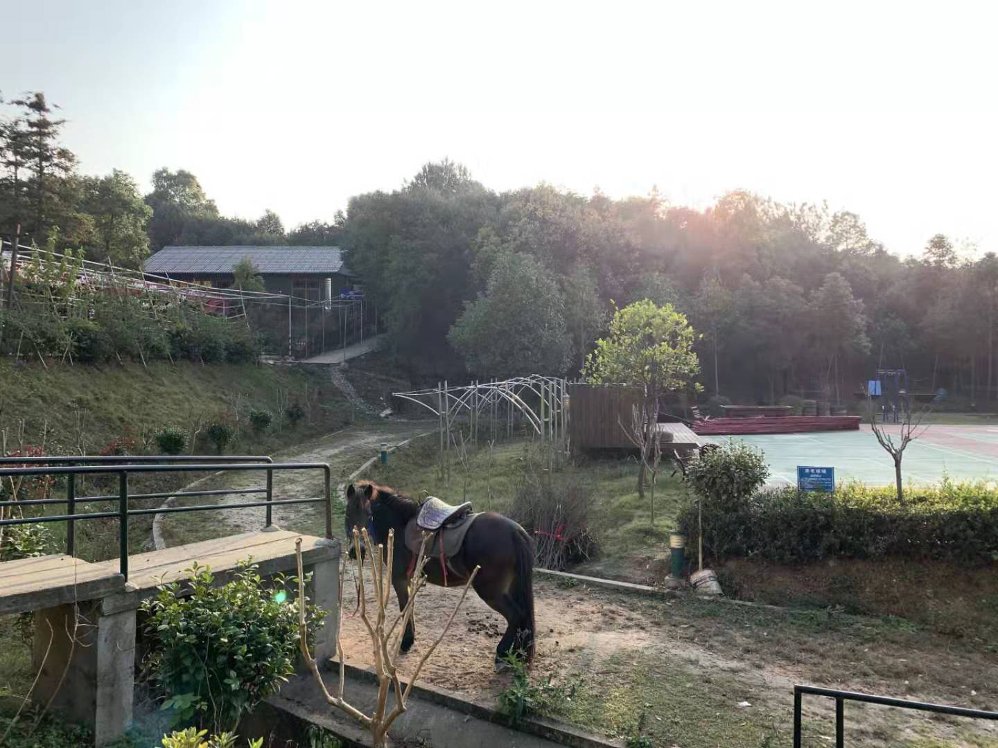 長沙滑翔傘預約簡介·鵝形山國際飛行營地,黑麋峰·銅官窯·洋沙湖