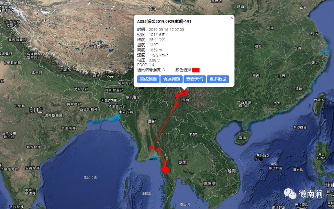 一只噪鹃背着在凤凰山安装的卫星跟踪器飞到了泰国啦还传回了222条