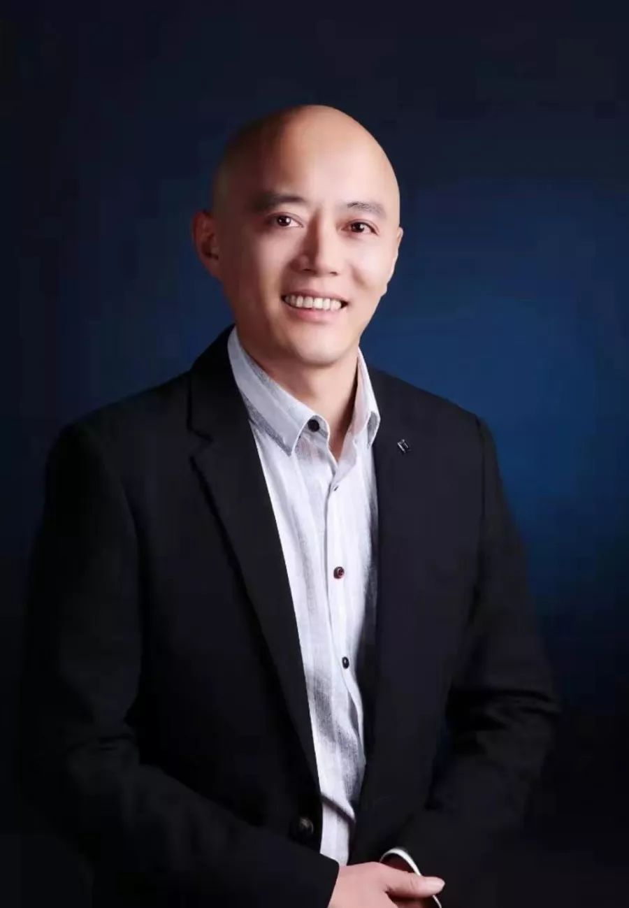 阳光森林的种子精彩绽放