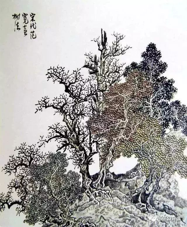 范宽画树法范宽画树,师法李成而略有变化.