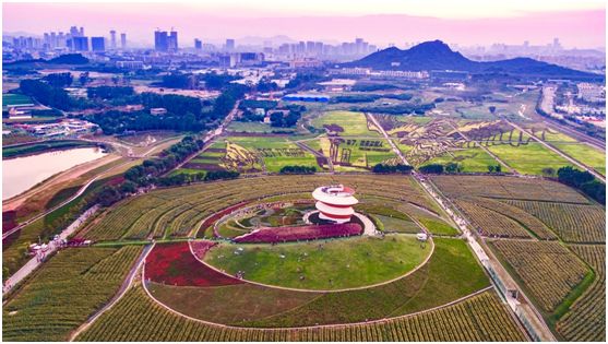 春節來光明歡樂田園承包你在深圳過年的歡樂