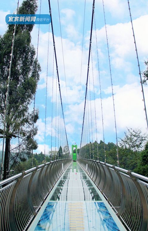 还有玻璃吊桥,玻璃水滑,高空滑索等娱乐设施鸽子广场,孔雀园,猴山等