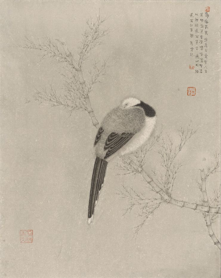 第1收藏今日播出中国国家博物馆副馆长刘万鸣