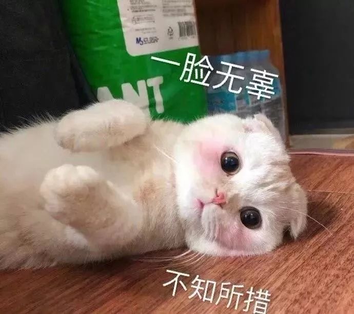 我莫得感情