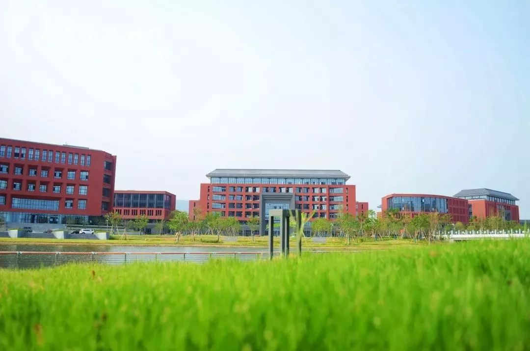 宁波大学梅山校区4个专业一流本科专业建设点名单中,2019年度国家级和