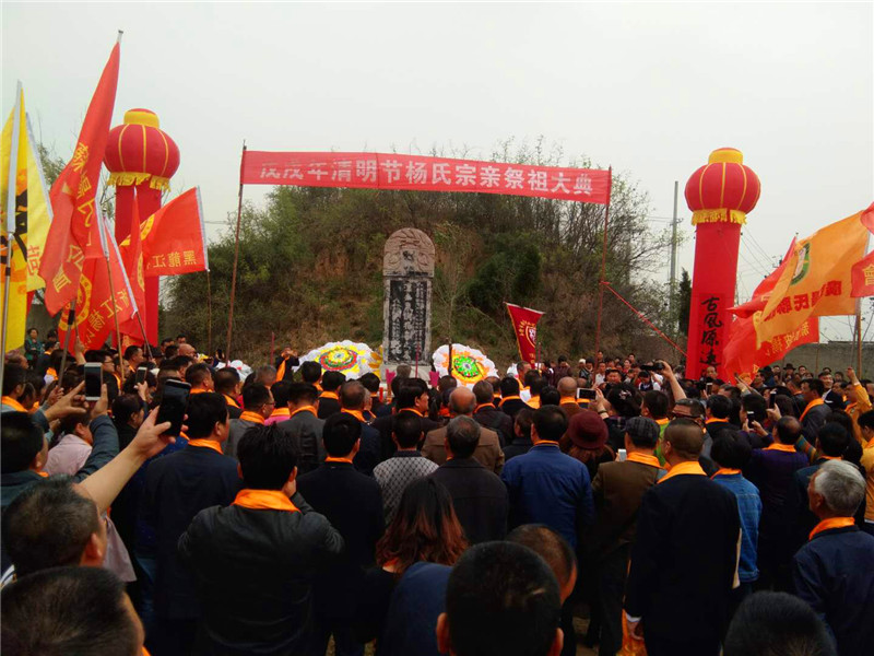 居住在印尼的杨姓人士建立了印尼杨氏宗亲总会和印尼万隆佛昙杨氏联谊