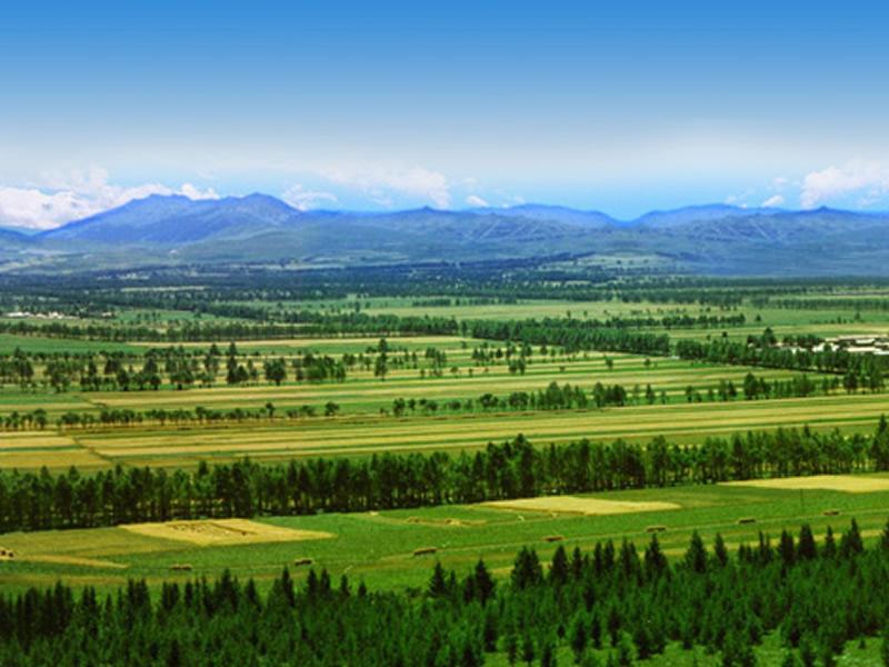 这项工程被誉为"中国的绿色长城" 覆盖了我国近半国土面积_防护林