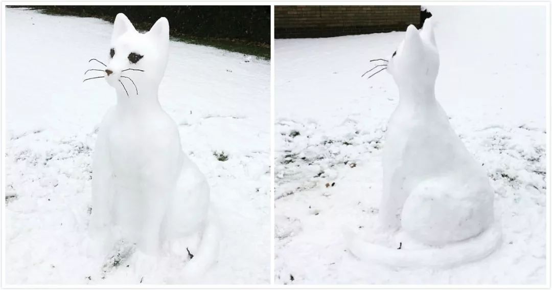 我堆的雪人跟我家猫长得一模一样
