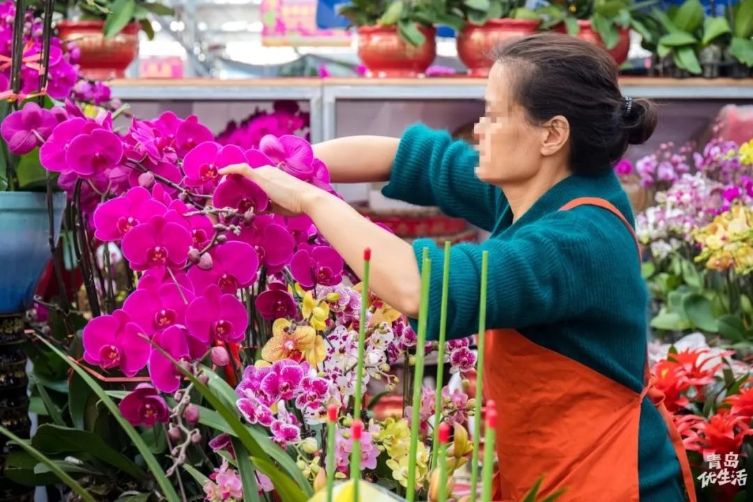 在青岛枯桃花卉市场撞见最活色生香的冬天