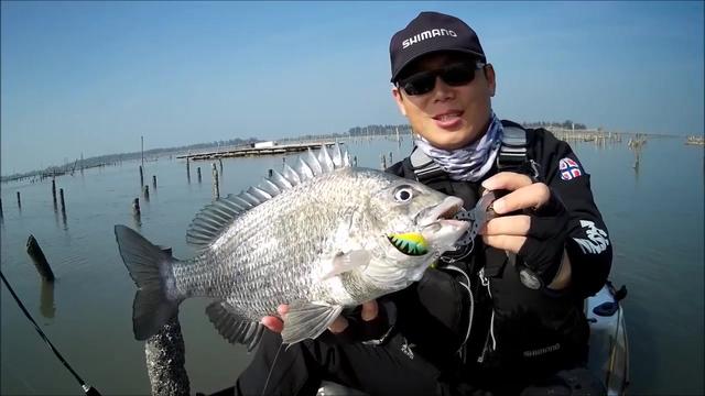 钓鱼路亚连中牛屎立钓鱼人运气不错哦