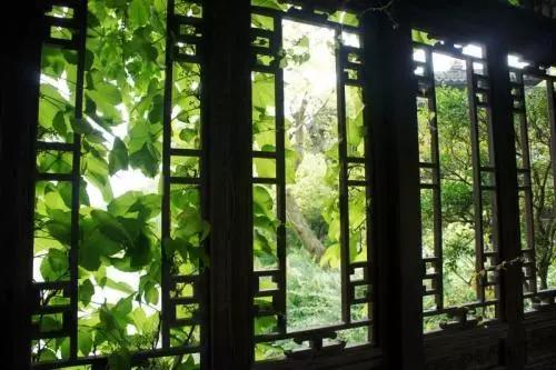 半窗明月半床书