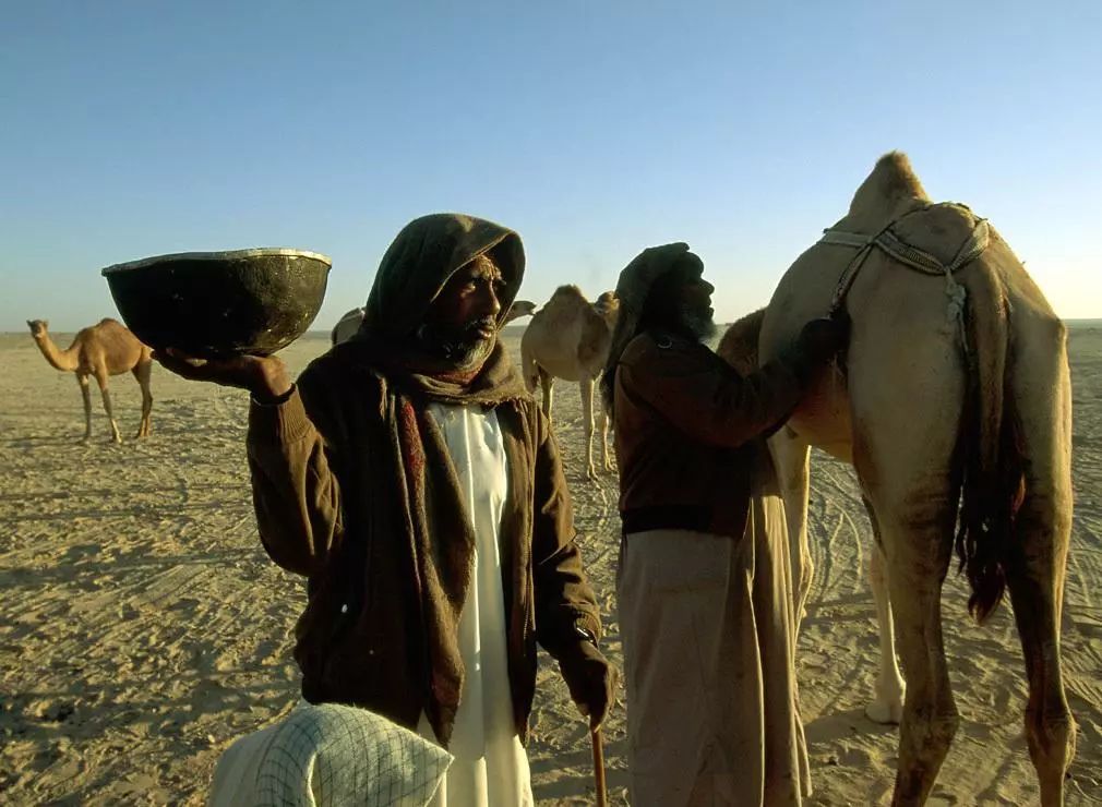 蒙古文化你所不知道的世界三大游牧民族