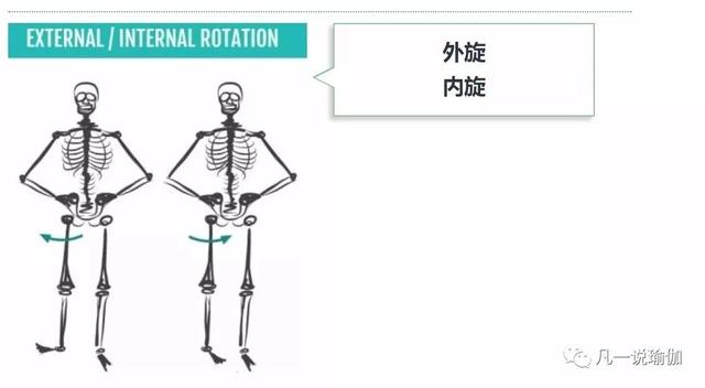 開肩開髖並不複雜1根伸展帶6個動作開肩開髖就這麼簡單